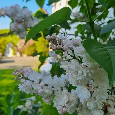 Folwark Leszczynowka Villa Srebrna Góra Екстериор снимка