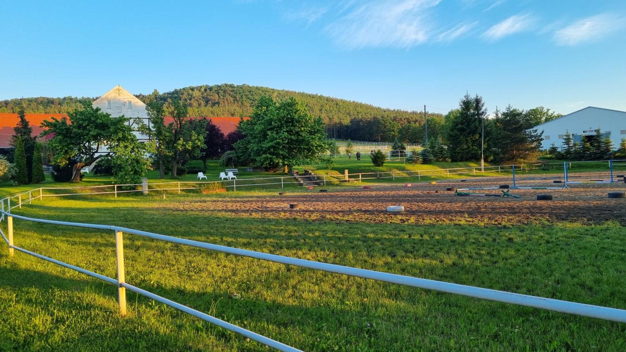 Folwark Leszczynowka Villa Srebrna Góra Екстериор снимка