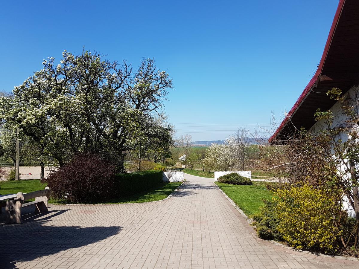 Folwark Leszczynowka Villa Srebrna Góra Екстериор снимка
