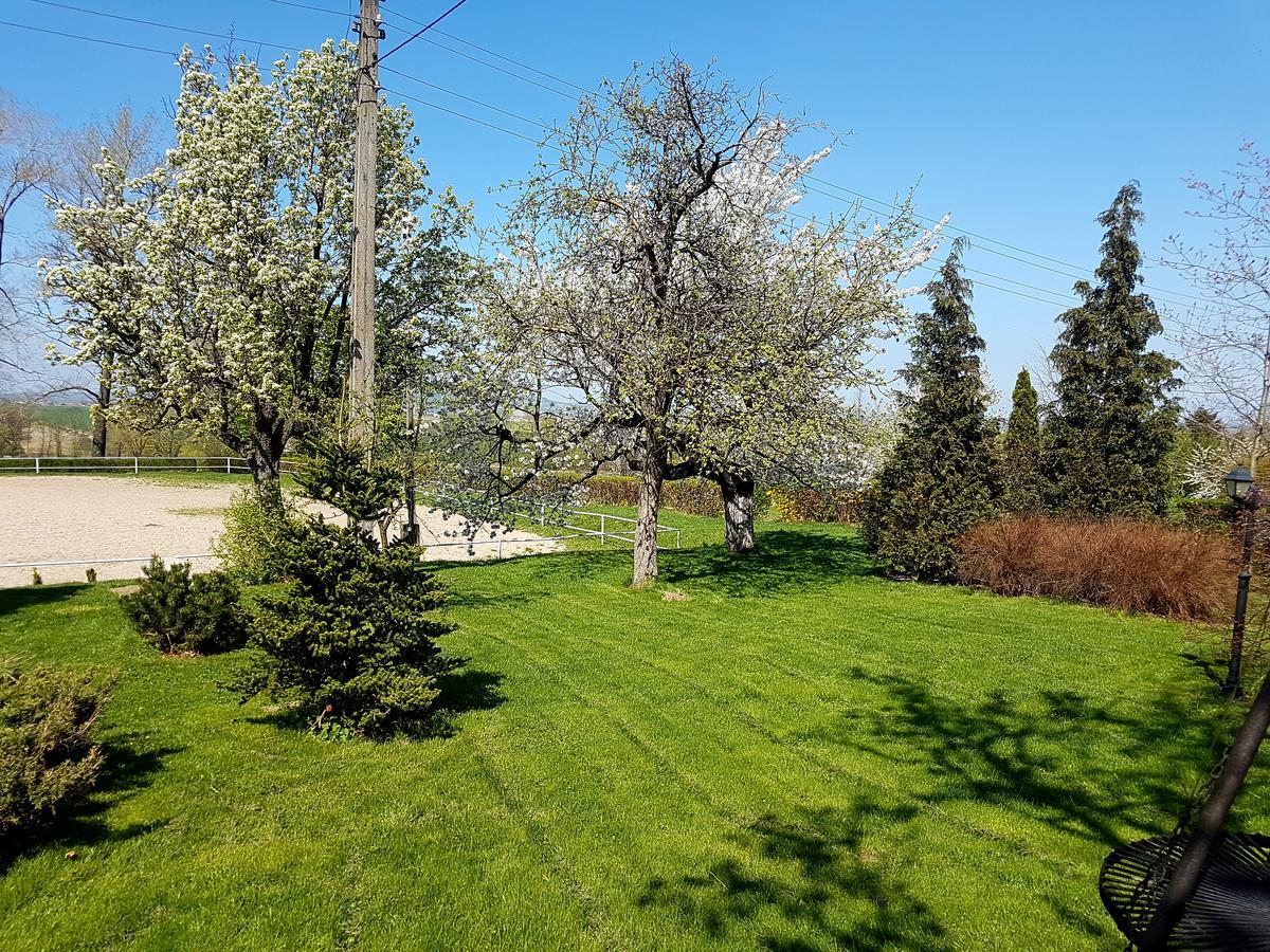 Folwark Leszczynowka Villa Srebrna Góra Екстериор снимка